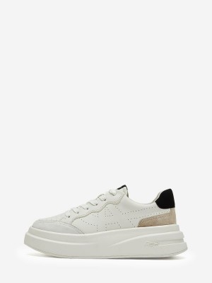 ASH Impuls Lave Sneakers Dame Hvide Hvide Sort | LCUQ-10438