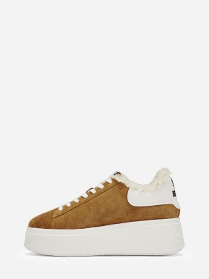 ASH Moby Be Kind Fur Lave Sneakers Dame Brune Hvide | DFAN-27350