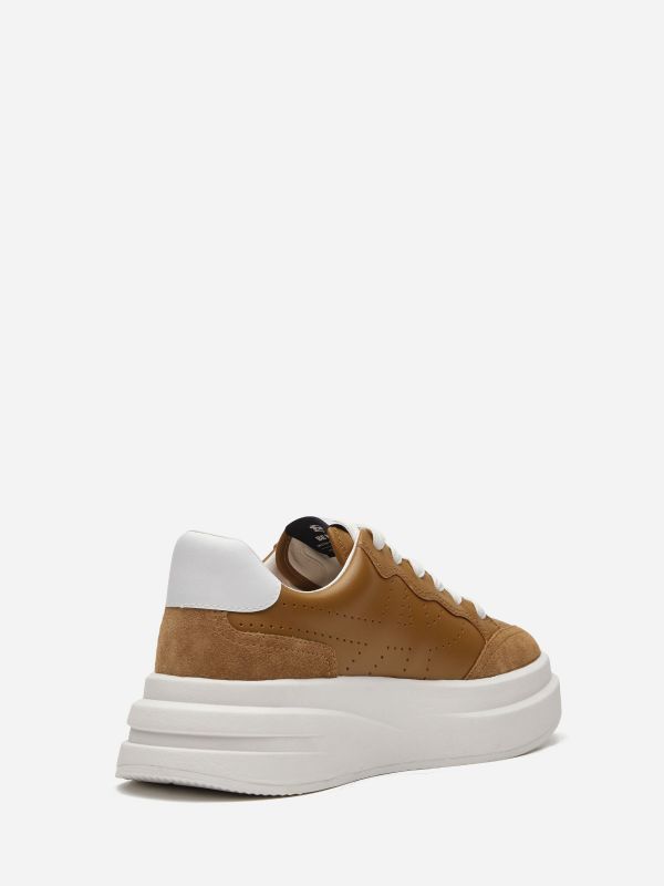 ASH Impuls Lave Sneakers Dame Brune Hvide | AMKQ-14237