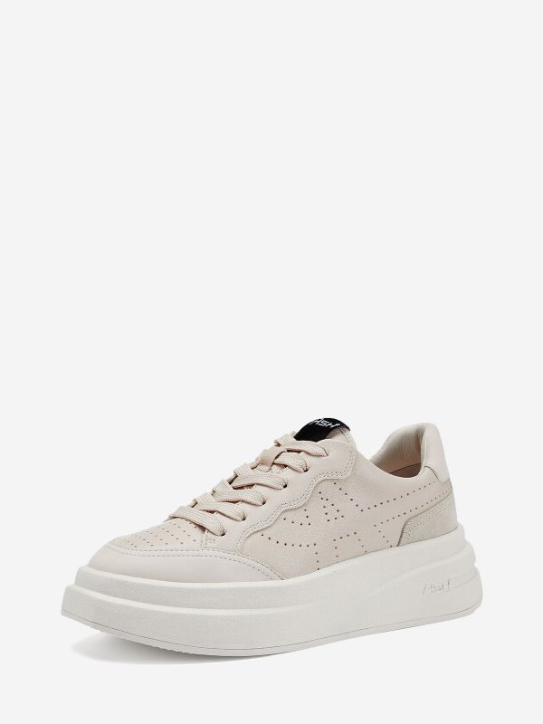 ASH Impuls Lave Sneakers Dame Shell | LUXO-13604