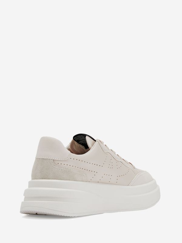 ASH Impuls Lave Sneakers Dame Shell | LUXO-13604