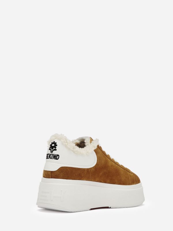 ASH Moby Be Kind Fur Lave Sneakers Dame Brune Hvide | OFUQ-73650